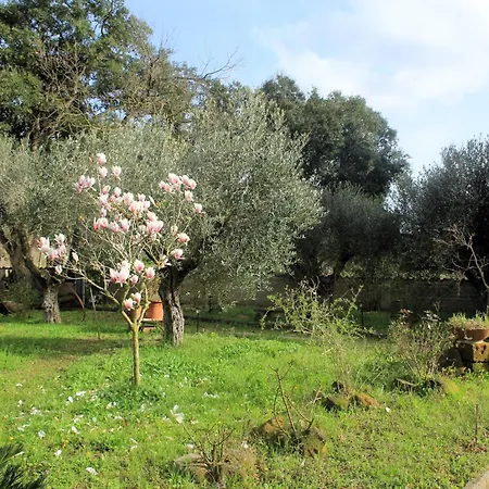 Pansiyon Sydney Nettuno