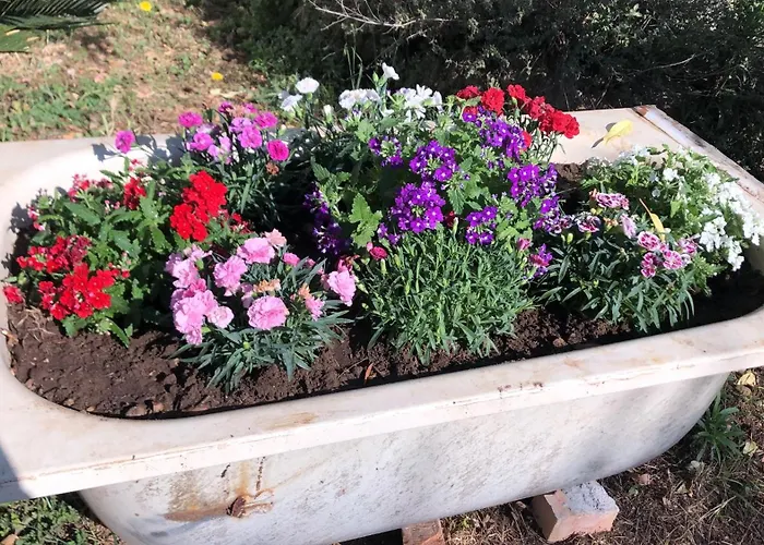 Sydney 民宿 内图诺