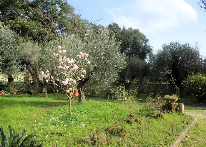 民宿 Sydney 内图诺
