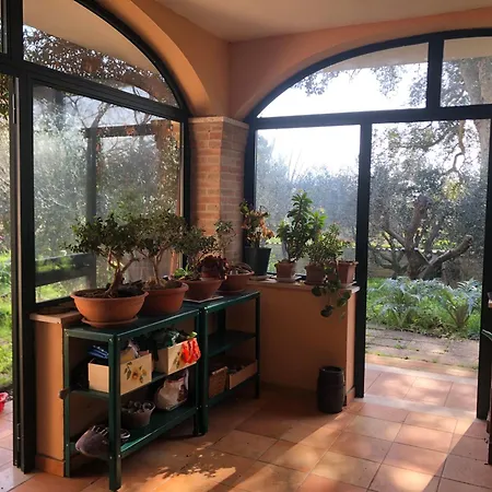 Sydney Homestay Nettuno