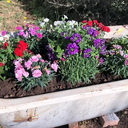 Sydney 民宿 内图诺