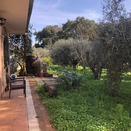 Homestay Sydney Nettuno