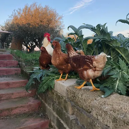 Sydney 民宿 内图诺