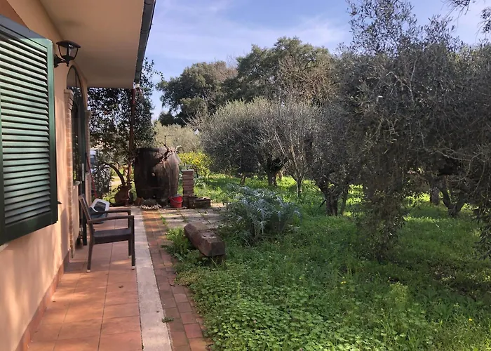 Δωμάτια σε οικογενειακή κατοικία Sydney Νετούνο