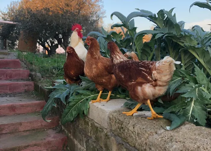 Sydney Δωμάτια σε οικογενειακή κατοικία Νετούνο